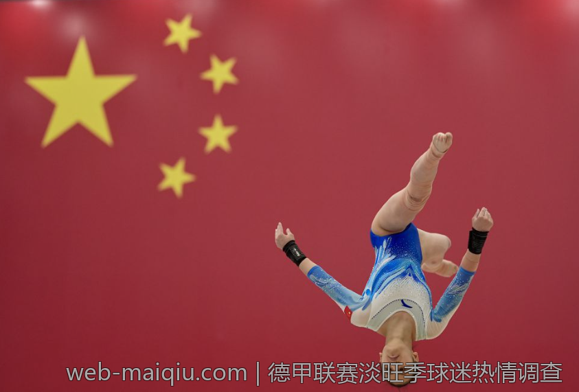 德甲联赛淡旺季球迷热情调查
