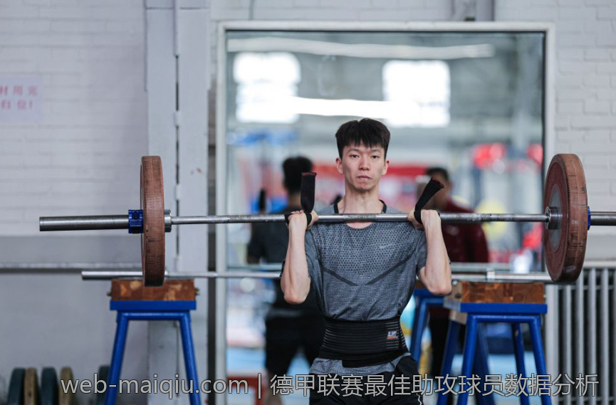 德甲联赛最佳助攻球员数据分析