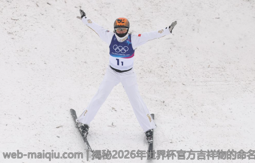 揭秘2026年世界杯官方吉祥物的命名与公众互动方式